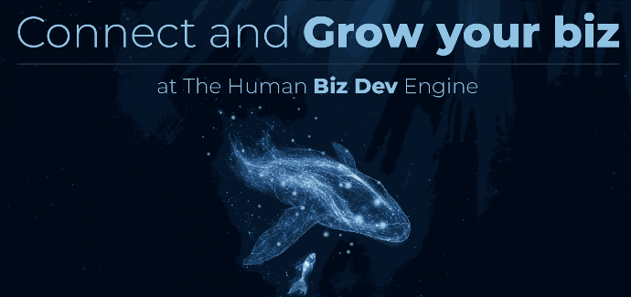 Connection Catalyst Sponsor